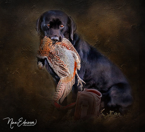The Retrieve
