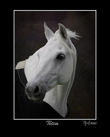 Tosca