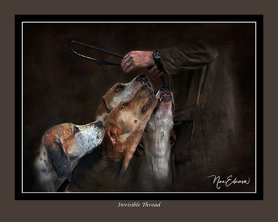 Invisible Thread