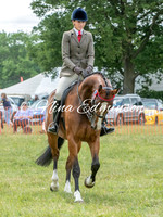 Amateur Ridden