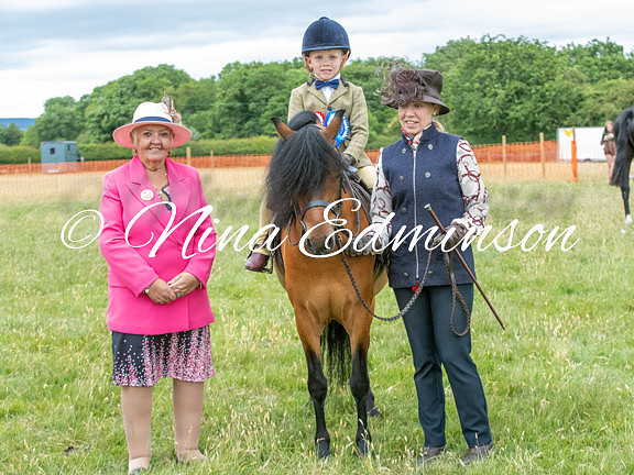 NYCS25 - 1190