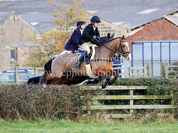 OAK0396