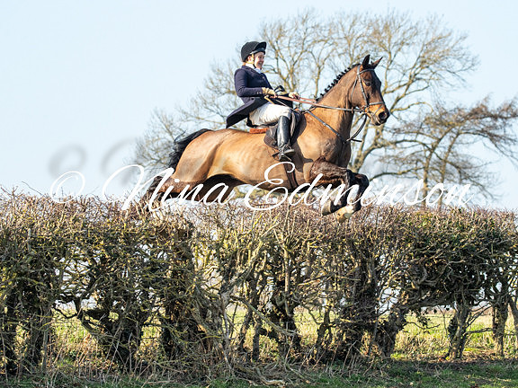 ZLD25 - 547