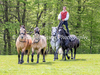 Ben Atkinson Action Horses