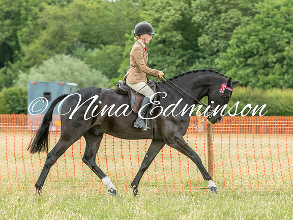 NYCS25 - 1005