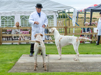 YNWOY Hound Show 2024
