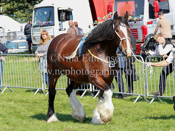 SSH1973