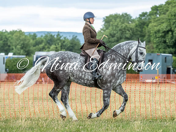 NYCS25 - 0896