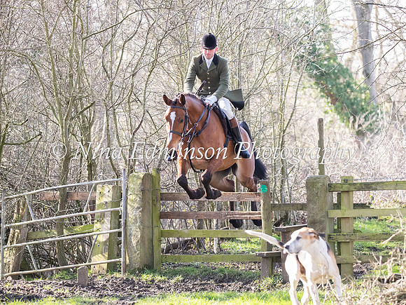 ZHG---229