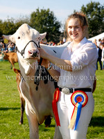 Cattle Parade & Presentations