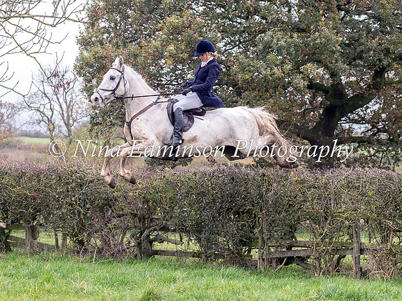 BNC24--154
