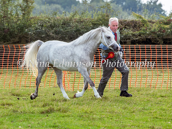 NYS22-250