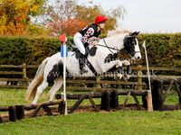 65cm 2nd & last fence