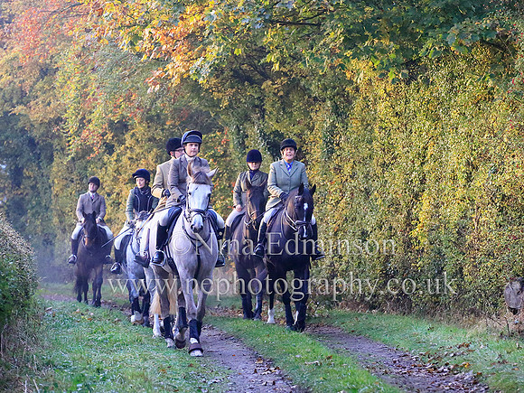 langton002