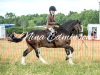 All Ridden Cobs